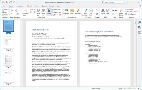 IceViewer PDF